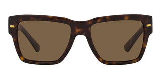 Dolce & Gabbana 0DG4431 men Havana Squared Sunglasses