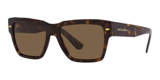 Dolce & Gabbana 0DG4431 men Havana Squared Sunglasses