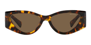 Miu Miu 0MU 06YS women Havana Cat Eye Sunglasses