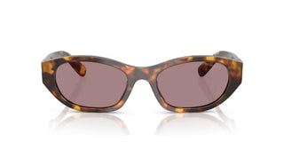 Miu Miu 0MU A03S women Havana Oval Sunglasses