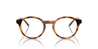 Arnette ALLYE AN 7242 men Havana Round Eyeglasses