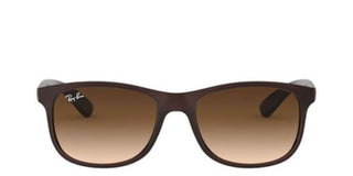 Ray-Ban ANDY RB 4202 unisex Brown Squared Sunglasses