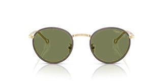 Giorgio Armani AR 6163J men Gold Round Sunglasses