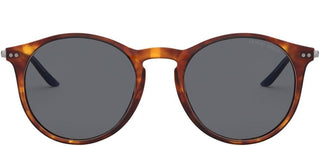 Giorgio Armani AR 8121 men Havana Round Sunglasses