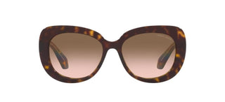 Giorgio Armani AR 8168 women Havana Squared Sunglasses