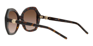 Giorgio Armani AR 8180 women Havana Oversize Sunglasses