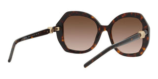 Giorgio Armani AR 8180 women Havana Oversize Sunglasses