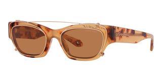 Giorgio Armani AR 8185U women Orange Cat Eye Sunglasses