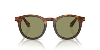 Giorgio Armani AR 8192 men Havana Geometric Sunglasses