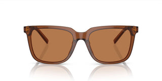 Giorgio Armani AR 8202U men Brown Squared Sunglasses