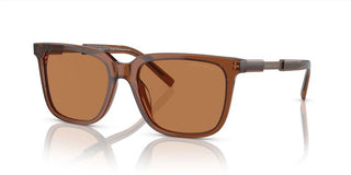 Giorgio Armani AR 8202U men Brown Squared Sunglasses