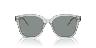 Giorgio Armani AR 8210U women Grey Squared Sunglasses