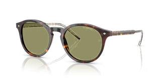 Giorgio Armani AR 8211 men Havana Pantos Sunglasses