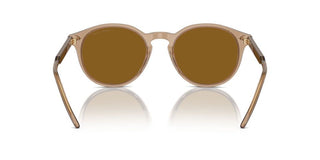 Giorgio Armani AR 8211 men Brown Pantos Sunglasses