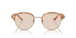 Giorgio Armani AR 8215 men Pink Pantos Sunglasses