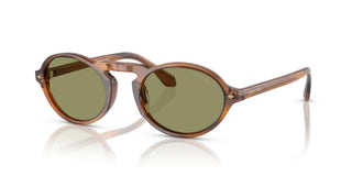 Giorgio Armani AR 8219U men Brown Round Sunglasses