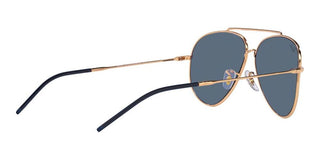 Ray-Ban AVIATOR REVERSE R0101S unisex Rose gold Pilot Sunglasses