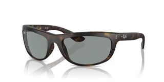 Ray-ban Balorama Rb 4089 Men Havana Sports Sunglasses