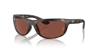 Ray-Ban BALORAMA RB 4089 men Havana Sports Sunglasses