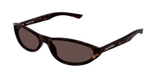 Balenciaga BB0007S unisex Havana Cat Eye Sunglasses