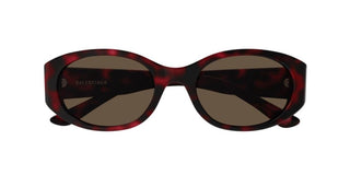 Balenciaga BB0369S women Havana Round Sunglasses