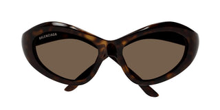 Balenciaga BB0386S women Havana Cat Eye Sunglasses