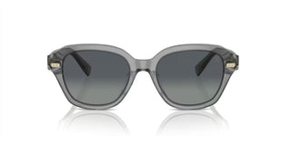 Brunello Cucinelli BC 4004S women Grey Pantos Sunglasses