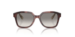 Brunello Cucinelli BC 4005S unisex Havana Geometric Sunglasses