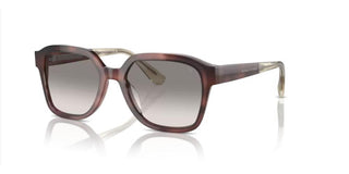 Brunello Cucinelli BC 4005S unisex Havana Geometric Sunglasses