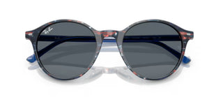 Ray-Ban BERNARD RB 2230 unisex Blue Pantos Sunglasses