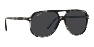 Ray-Ban BILL RB 2198 unisex Grey Pilot Sunglasses