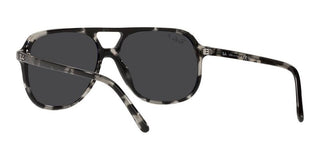 Ray-Ban BILL RB 2198 unisex Grey Pilot Sunglasses