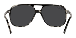 Ray-Ban BILL RB 2198 unisex Grey Pilot Sunglasses