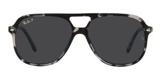 Ray-Ban BILL RB 2198 unisex Grey Pilot Sunglasses