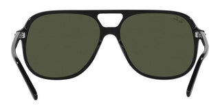 Ray-Ban BILL RB 2198 unisex Black Pilot Sunglasses