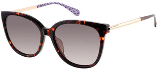 Kate Spade BRITTON/G/S women Havana Geometric Sunglasses