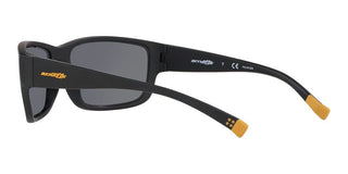 Arnette BUSHWICK AN 4256 men Black Geometric Sunglasses