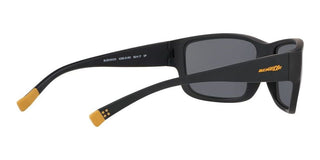 Arnette BUSHWICK AN 4256 men Black Geometric Sunglasses