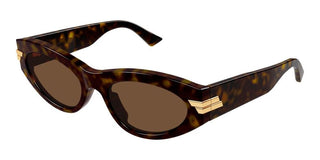 Bottega Veneta BV1189S women Havana Cat Eye Sunglasses