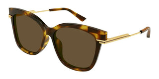 Bottega Veneta BV1296SA women Havana Pantos Sunglasses