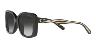 Coach C7994 CH 8334U women Black Geometric Sunglasses