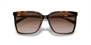 Michael Kors CANBERRA MK 2197U women Havana Squared Sunglasses