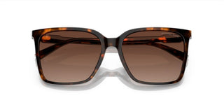 Michael Kors CANBERRA MK 2197U women Havana Squared Sunglasses