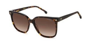 Carrera CARRERA 3002/S women Havana Squared Sunglasses