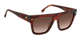 Carrera CARRERA 3016/S women Havana Geometric Sunglasses