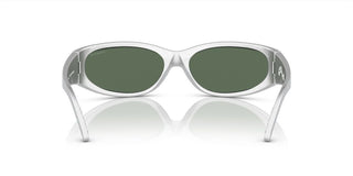 Arnette CATFISH AN 4302 men Silver Sports Sunglasses