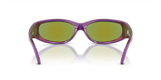 Arnette CATFISH AN 4302 men Violet Sports Sunglasses