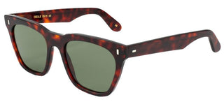 L.G.R CECILE women Havana Cat Eye Sunglasses