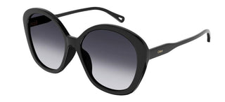 Chloé CH0081S women Black Pantos Sunglasses