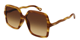 Chloé CH0086S women Havana Oversize Sunglasses